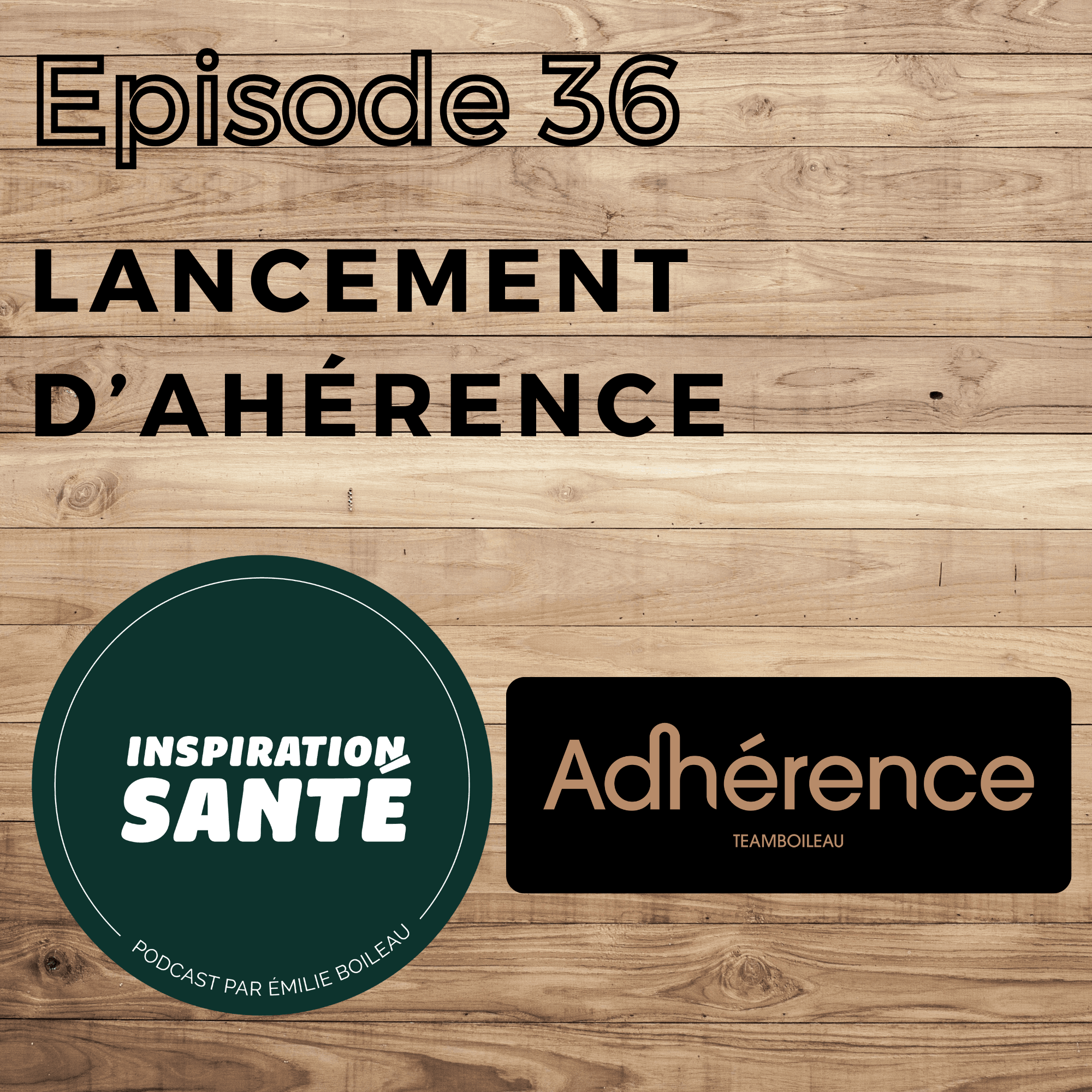 Épisode 36: Le lancement du programme Adhérence
